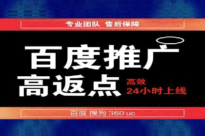 百度品牌广告的创意与执行案例